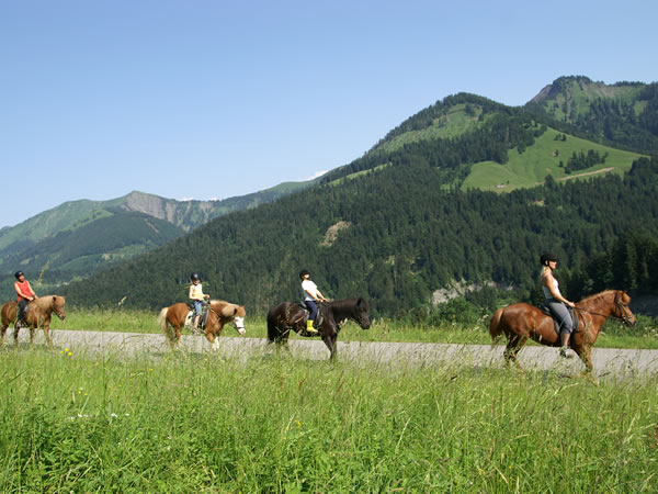 Horseback Riding